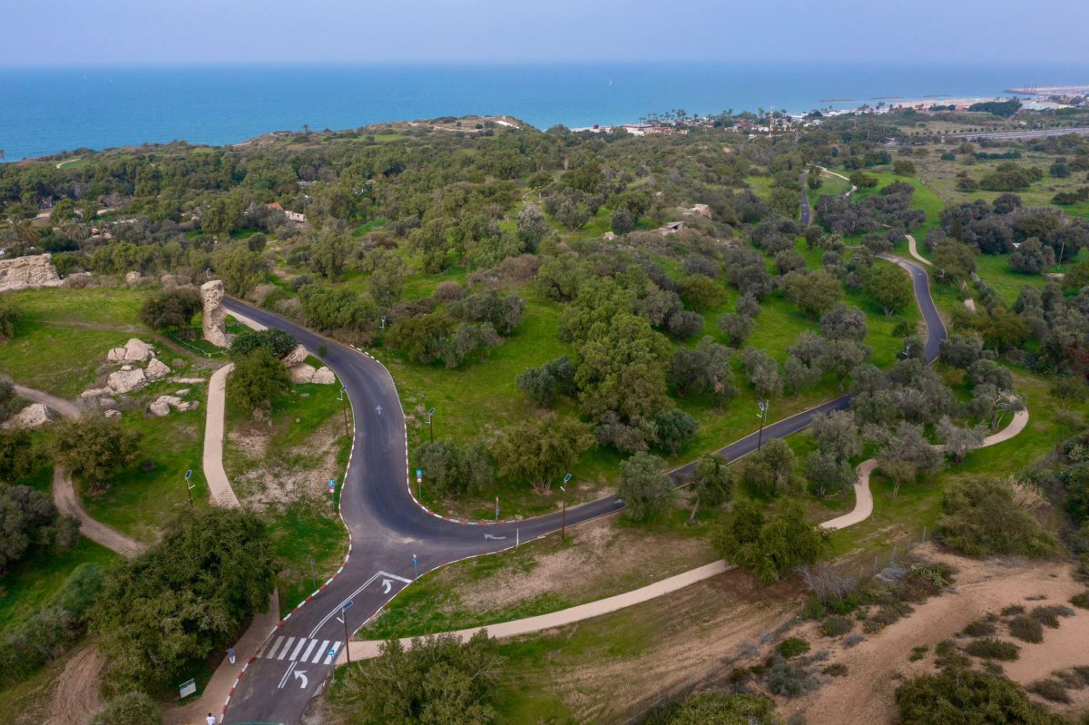 הגן הלאומי אשקלון | צילום: אדי ישראל