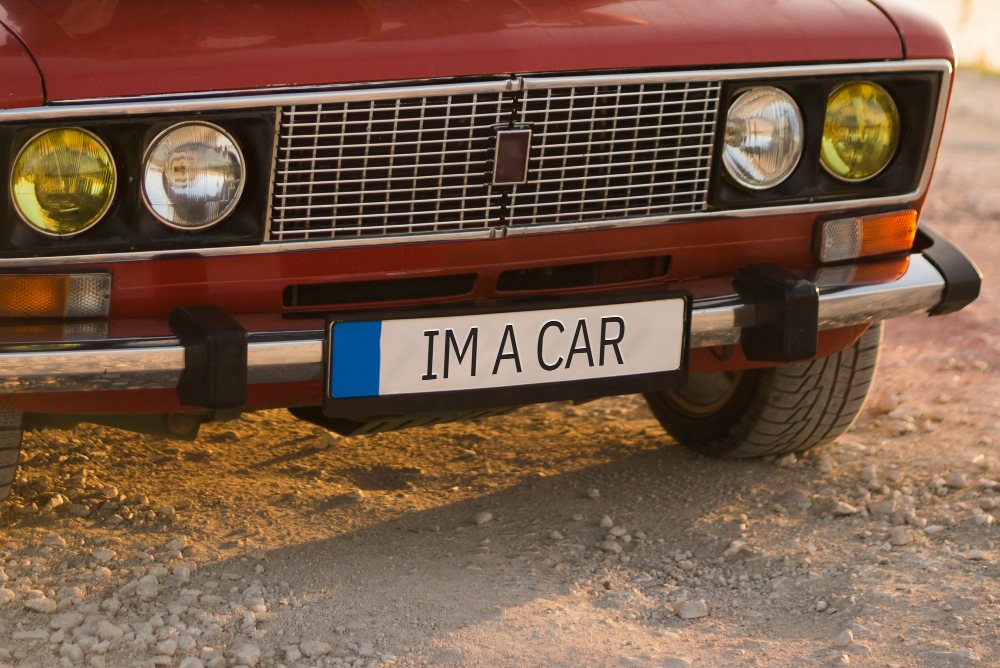 קרדיט תמונה FREEPIK