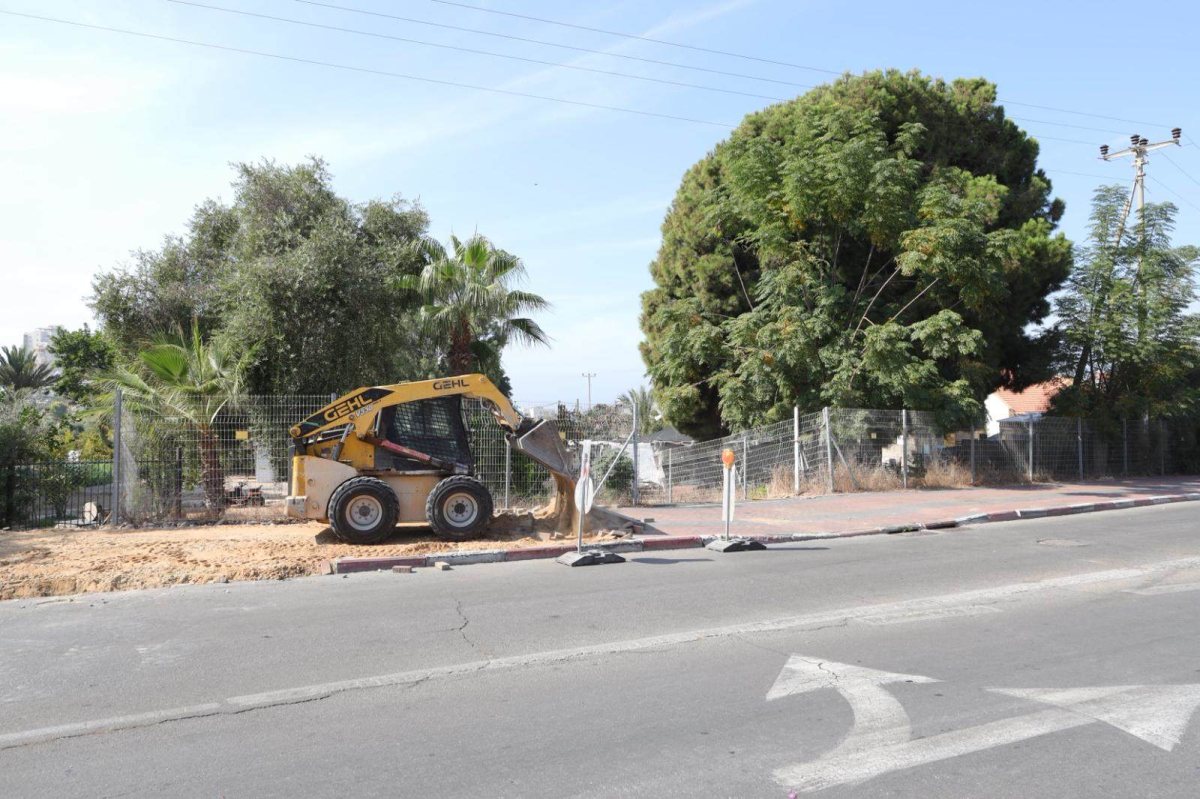 צילום: אלדד עובדיה
