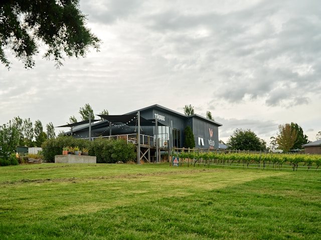 קרדיט-Photo by Neon Wang on Unsplash