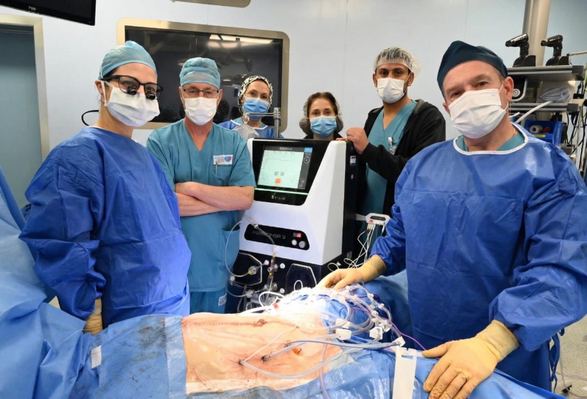 דוברות המרכז הרפואי ברזילי