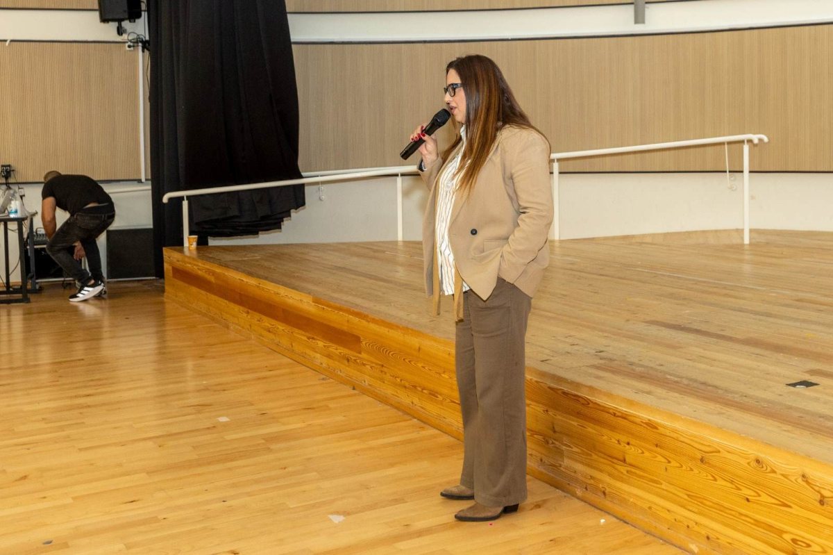 צילום: סיון מטודי