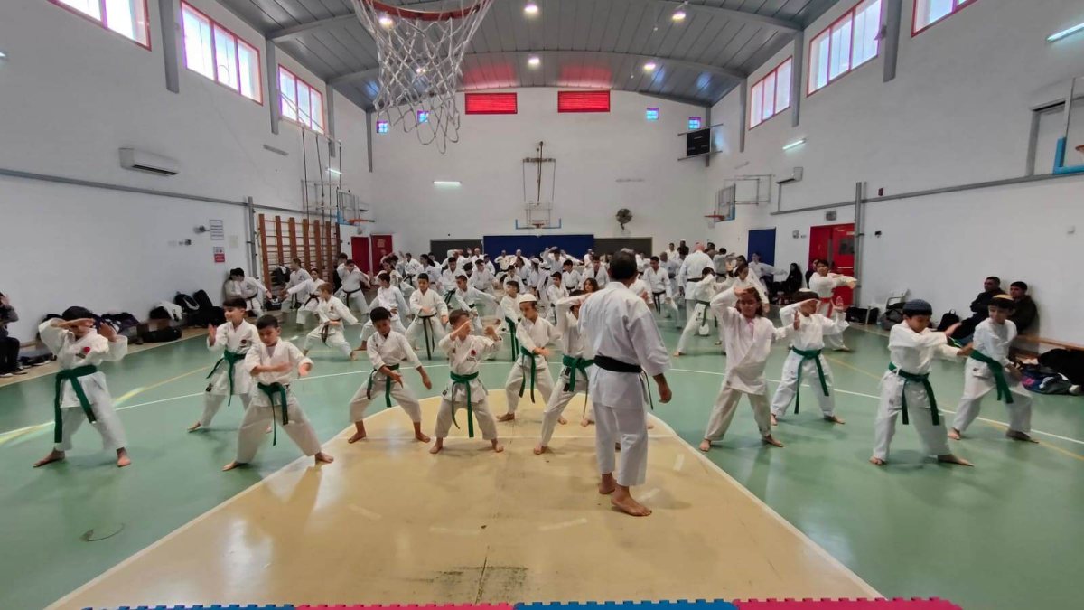 צילום: דוברות עיריית אשקלון