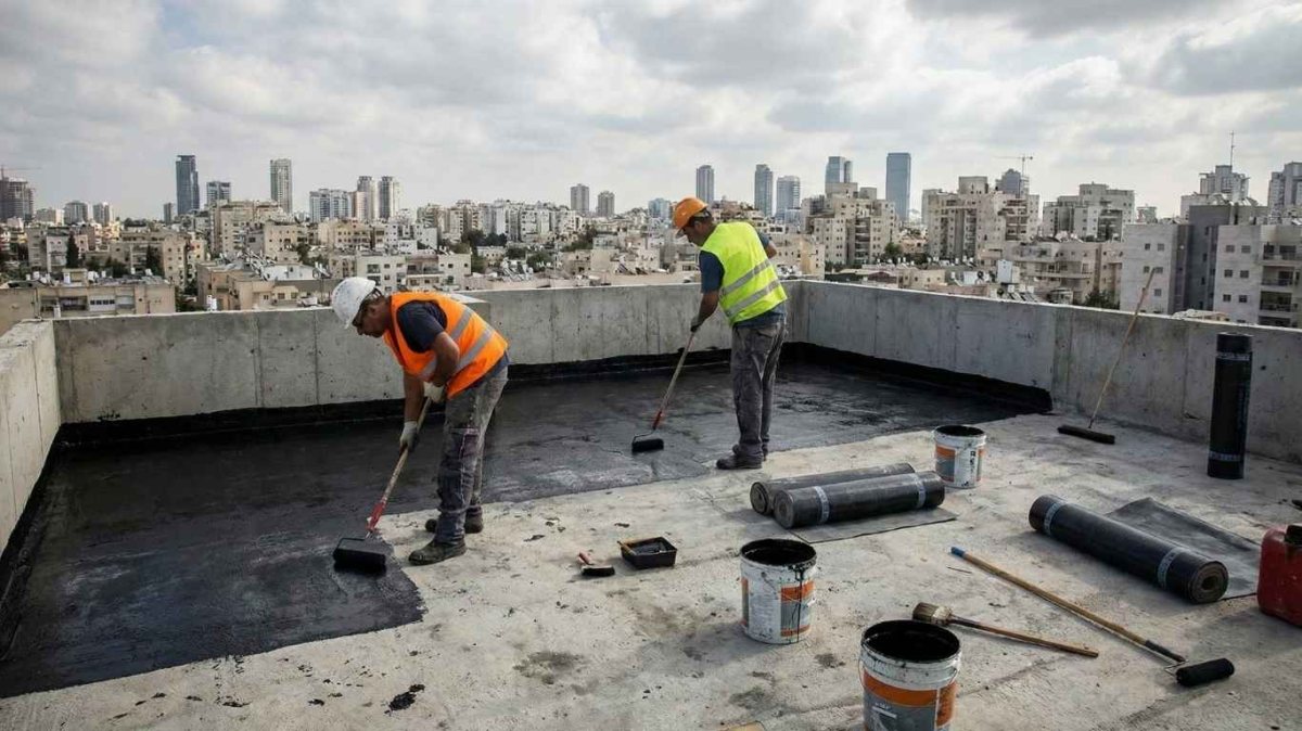 קרדיט לתמונה gemini