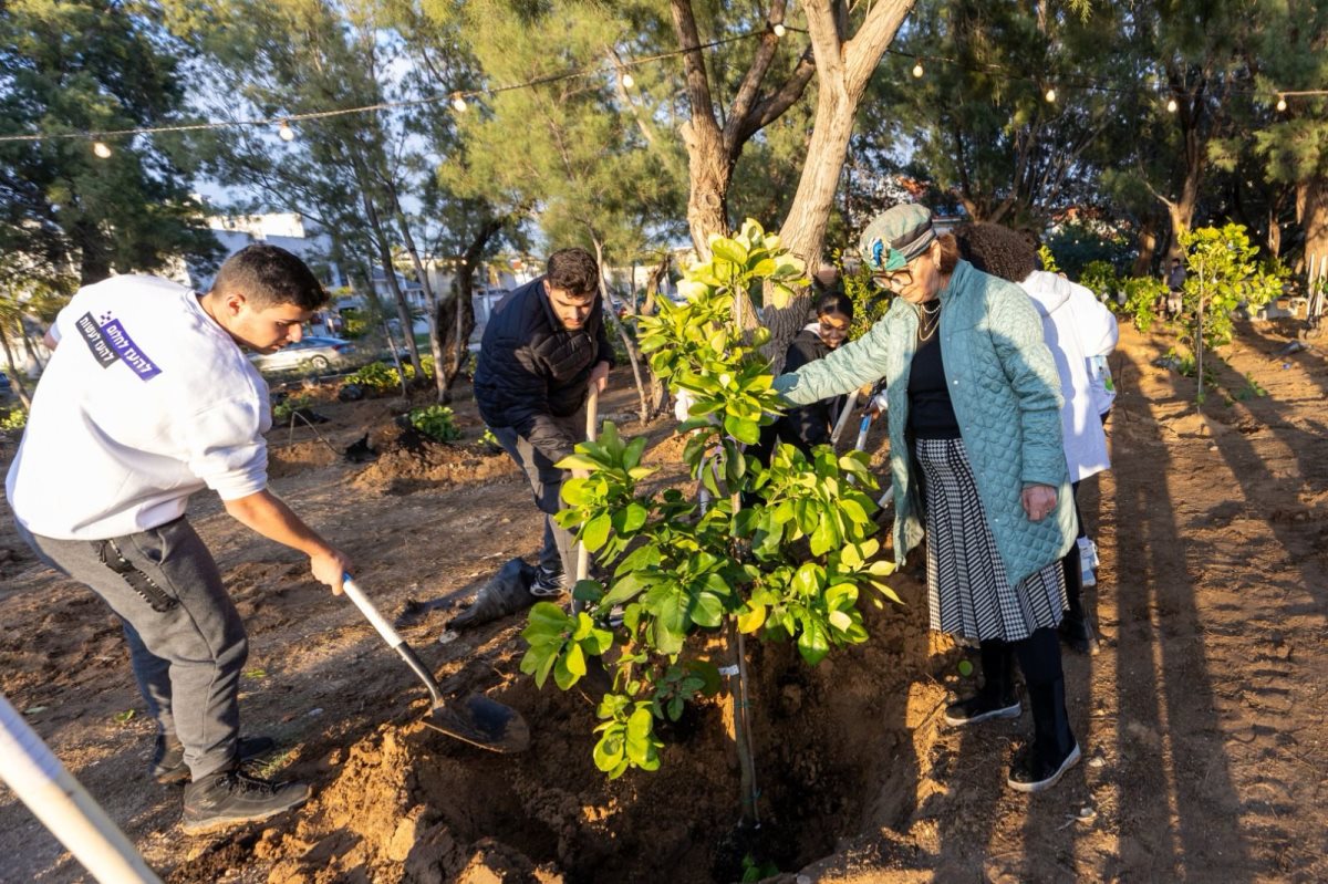 צילום: סיון מטודי