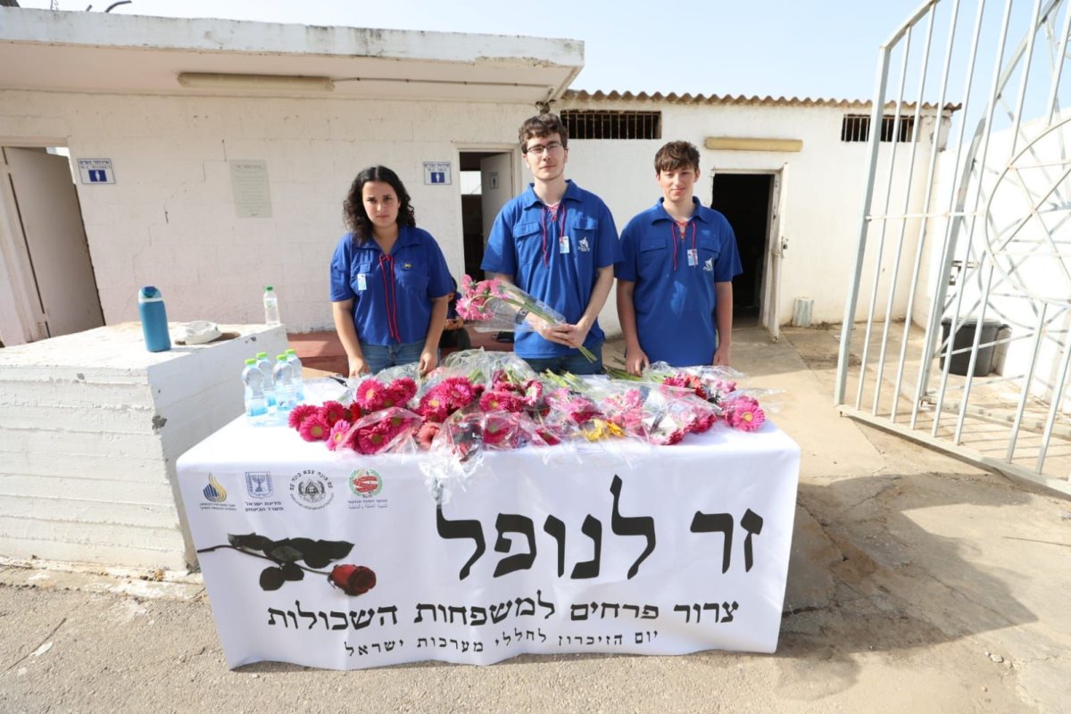 צילום: אלדד עובדיה