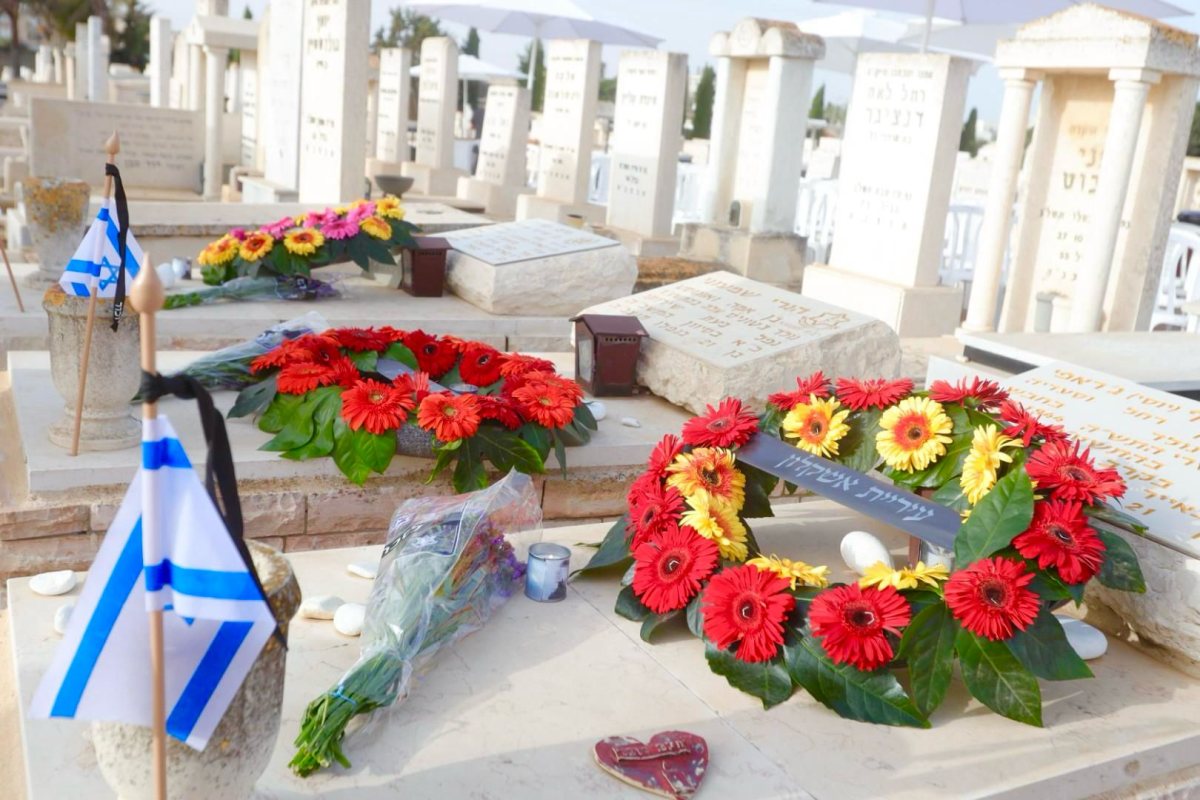 צילום: אלדד עובדיה