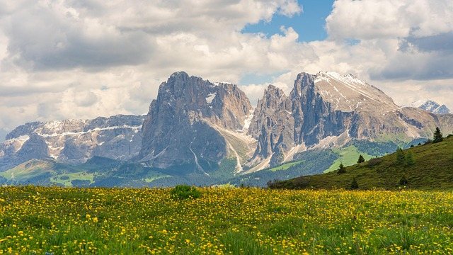 Pixabay Pixabay