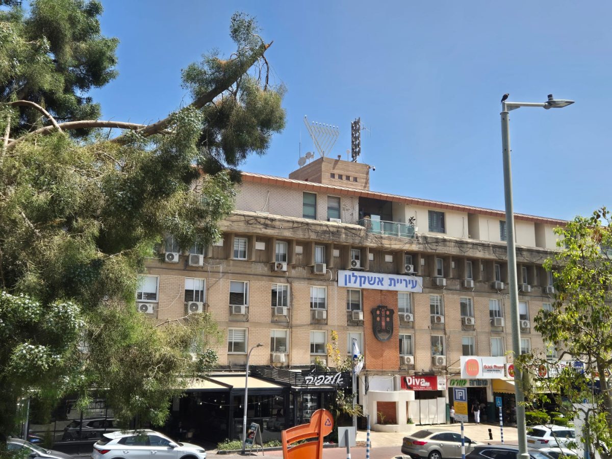 קרדיט צילום: דוברות עיריית אשקלון קרדיט צילום: דוברות עיריית אשקלון