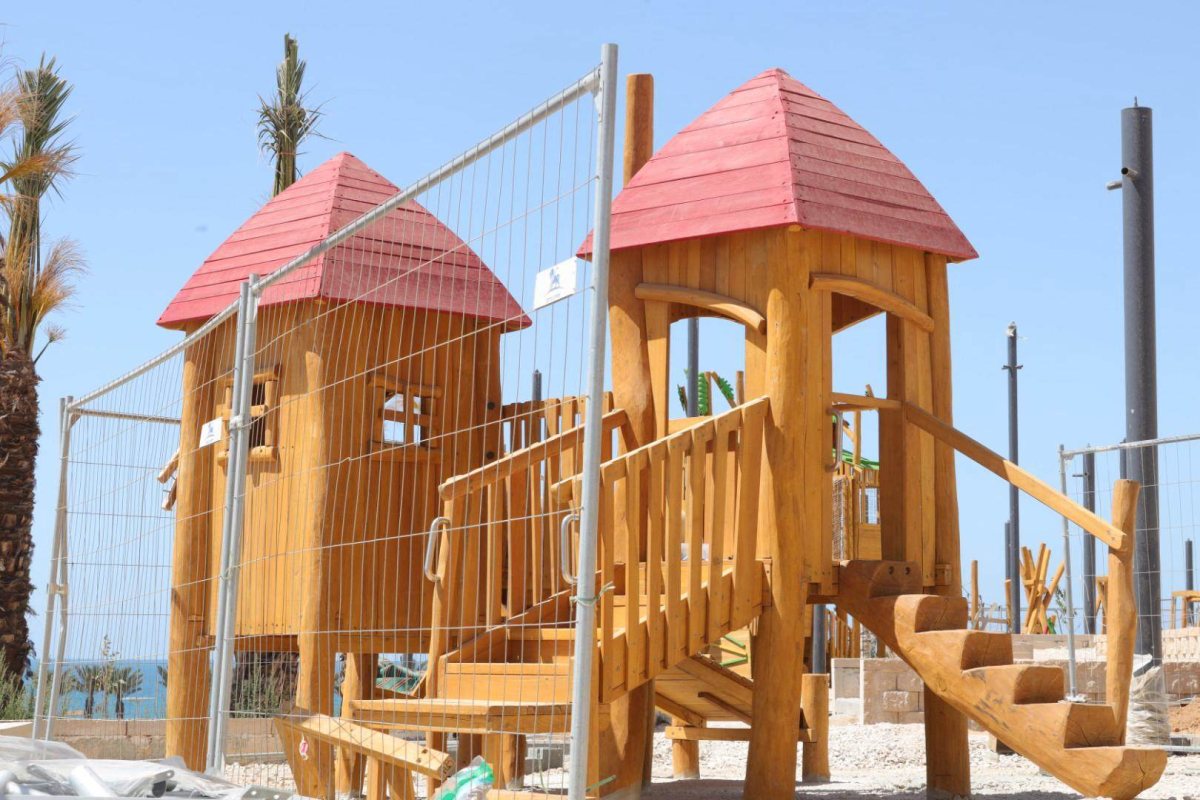 צילום: אלדד עובדיה