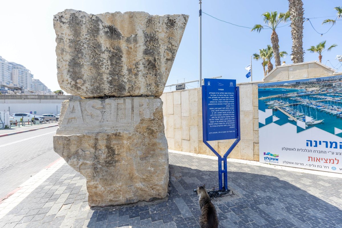 צילום: סיון מטודי
