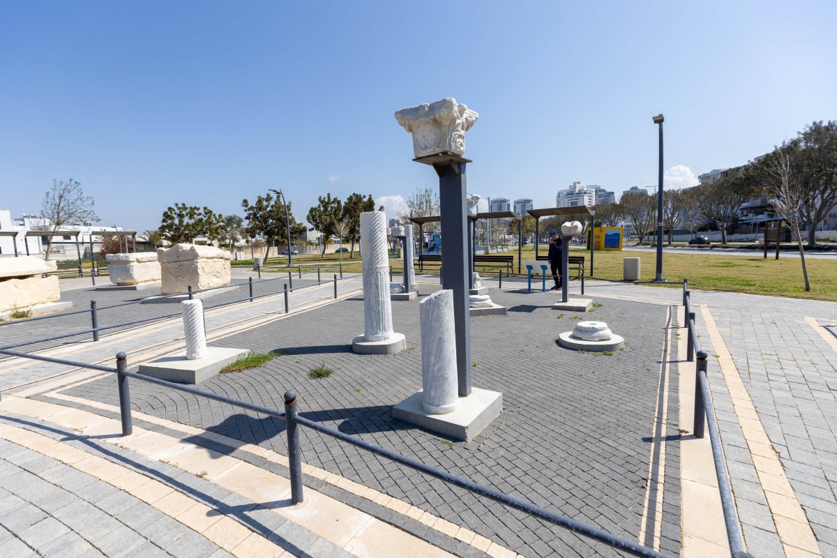 צילום: סיון מטודי