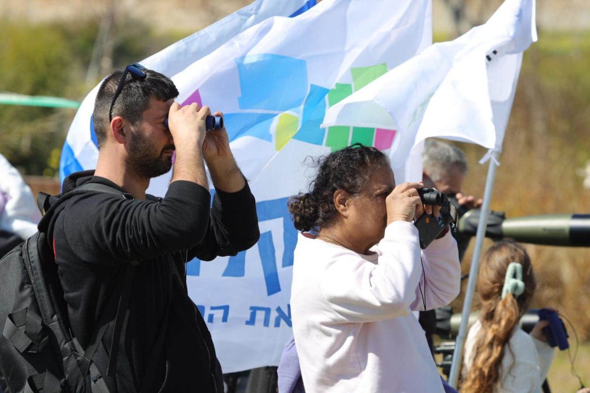 צילום: אלדד עובדיה