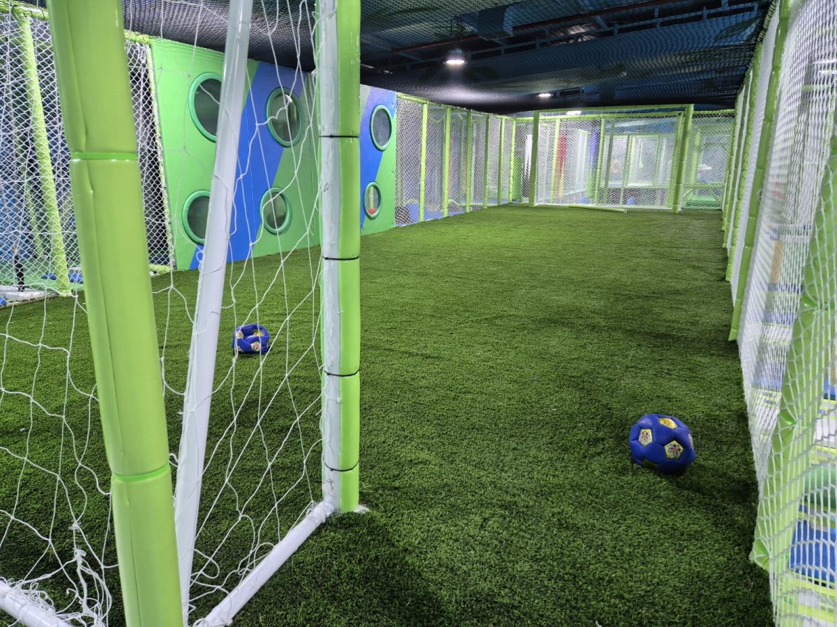 מגרש כדורגל סינטטי | קרדיט צילום: דויד גולדשטיין