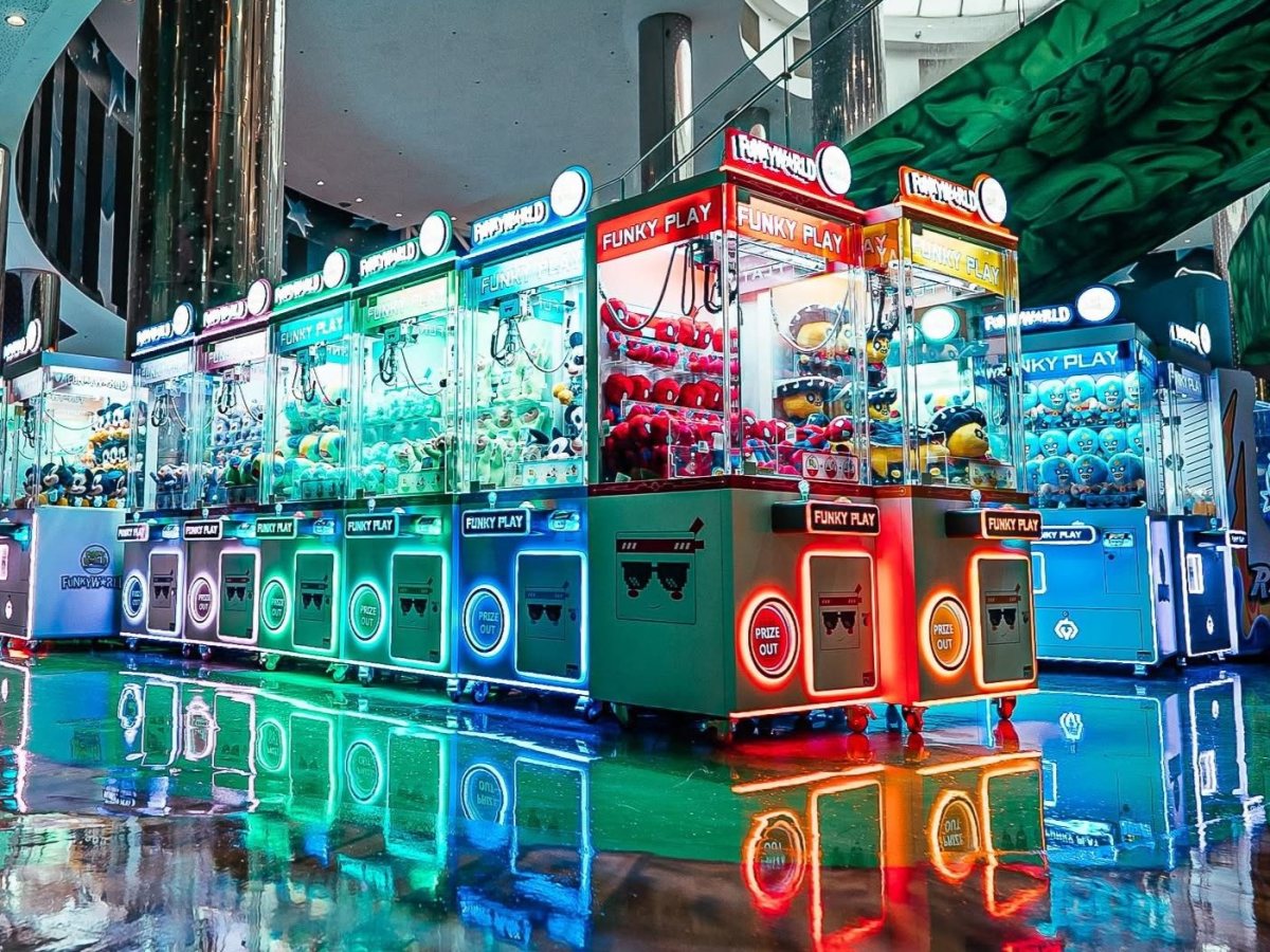 קרדיט צילום: דויד גולדשטיין