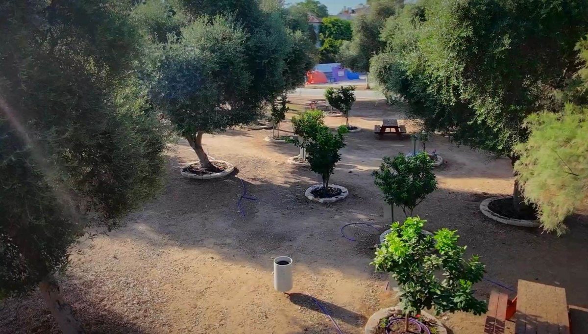 קרדיט צילום: אשר דיין