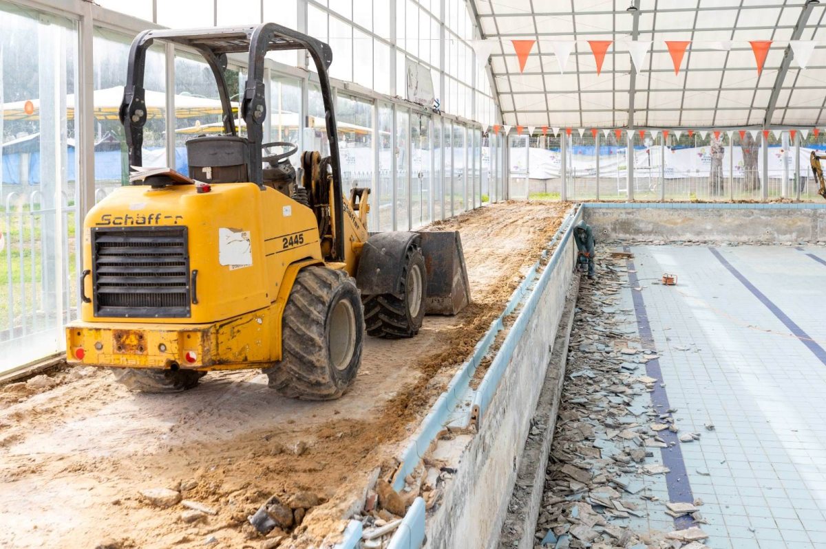 צילום: סיון מטודי