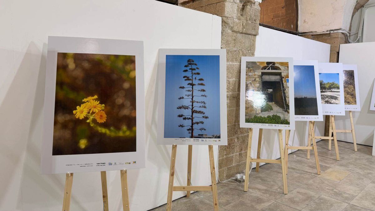 צילום: סיון מטודי