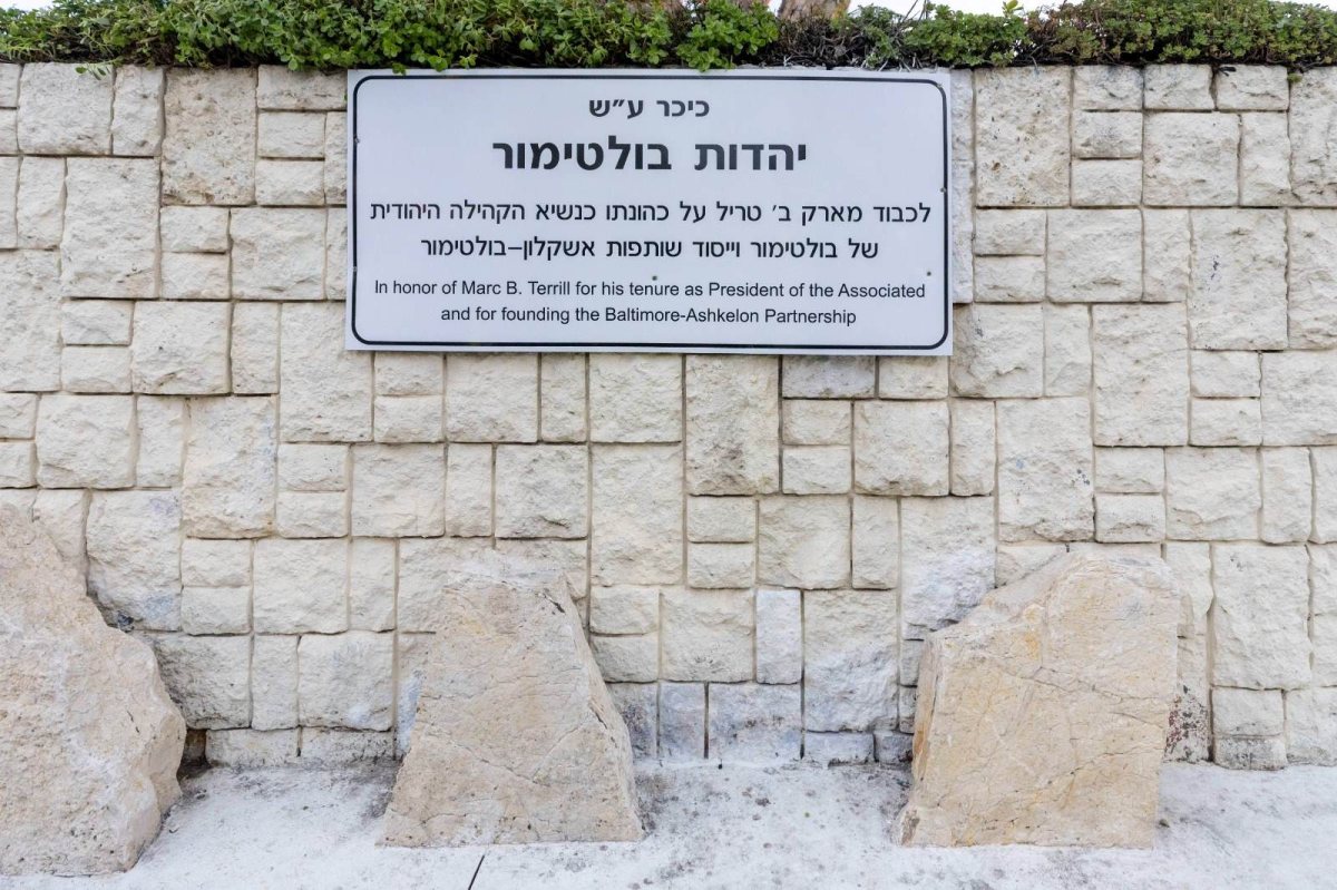 צילום: סיון מטודי