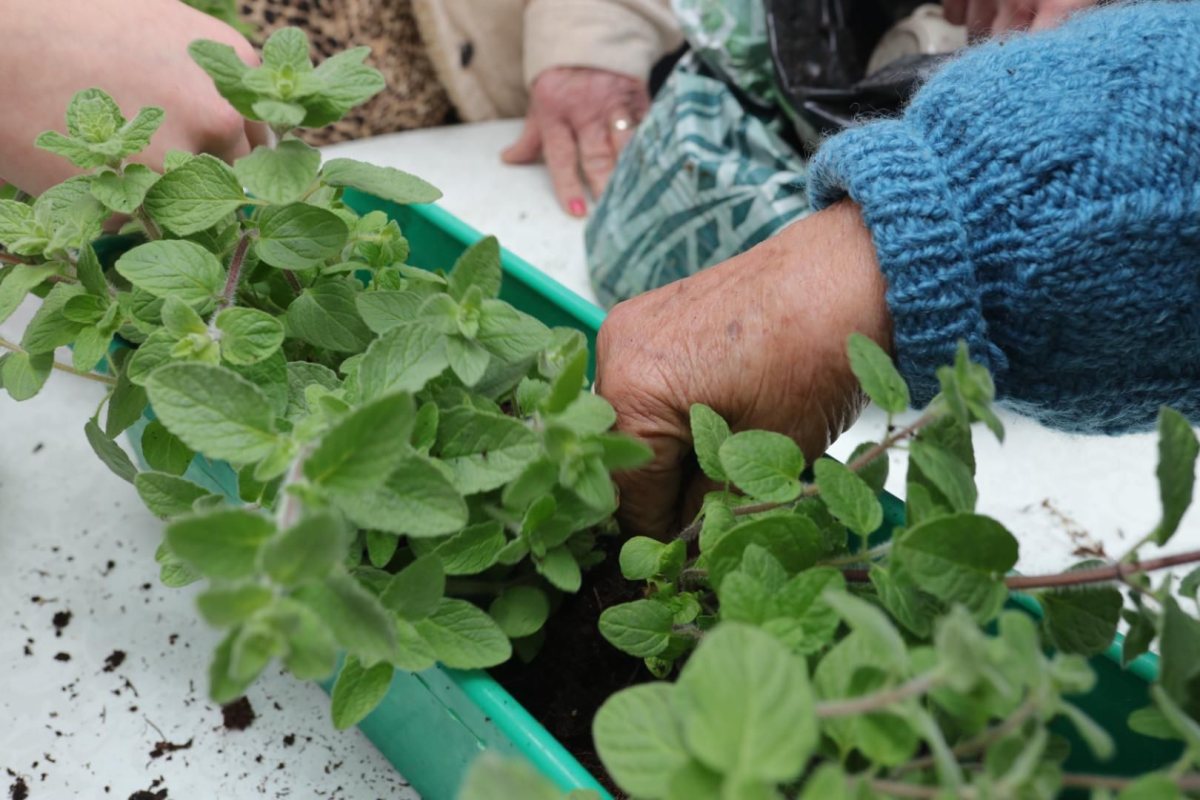 צילום: אלדד עובדיה