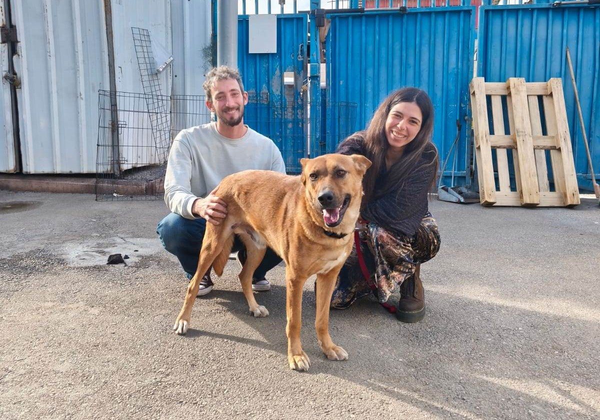 צילום: דוברות עיריית אשקלון