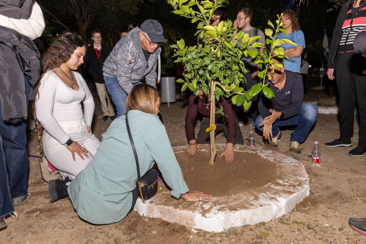 צילום: סיון מטודי