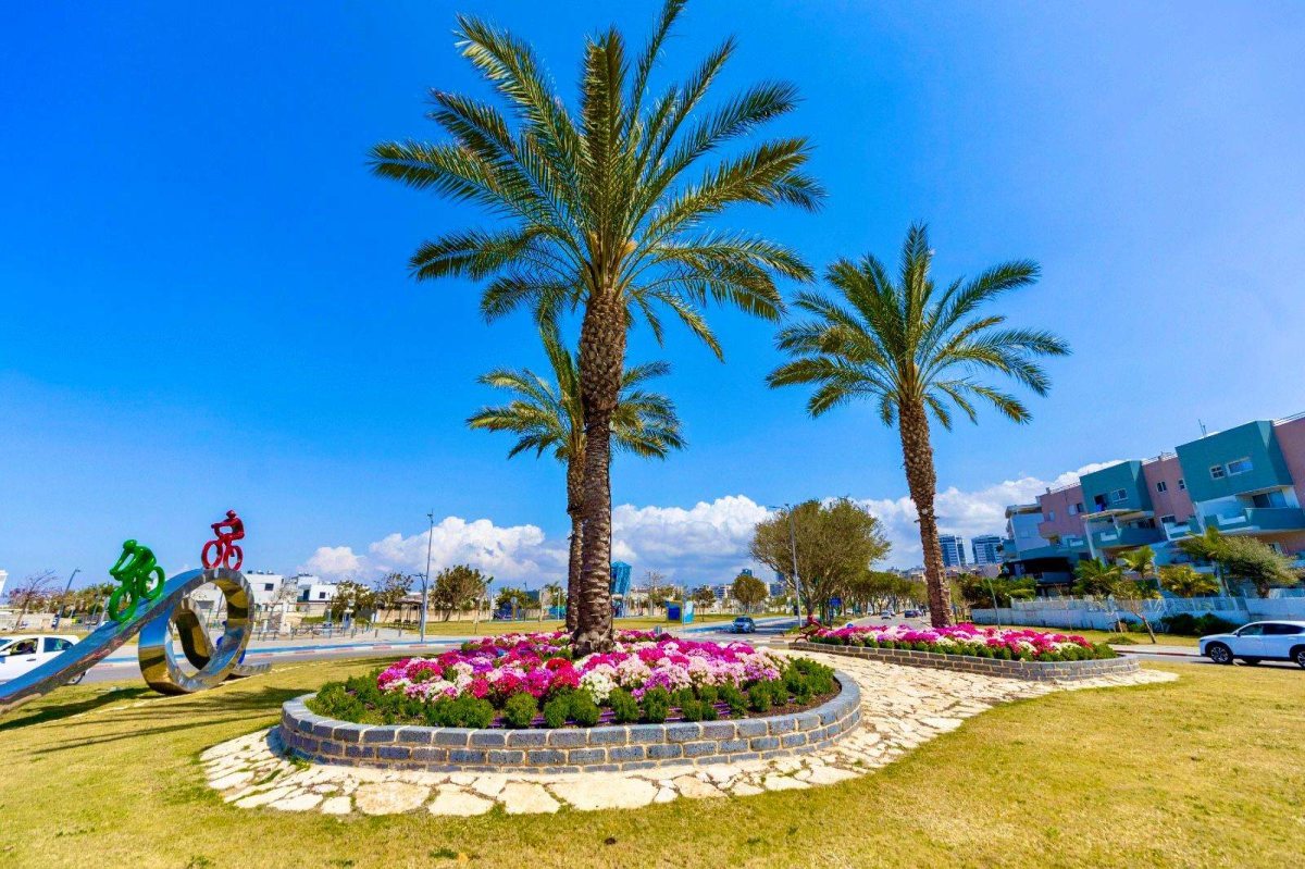 צילום: סיון מטודי