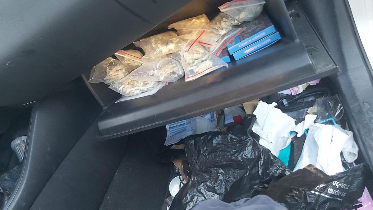 קרדיט: דוברות המשטרה