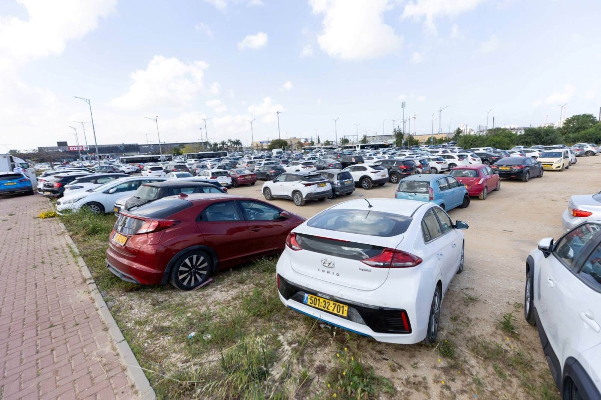 צילום: סיון מטודי