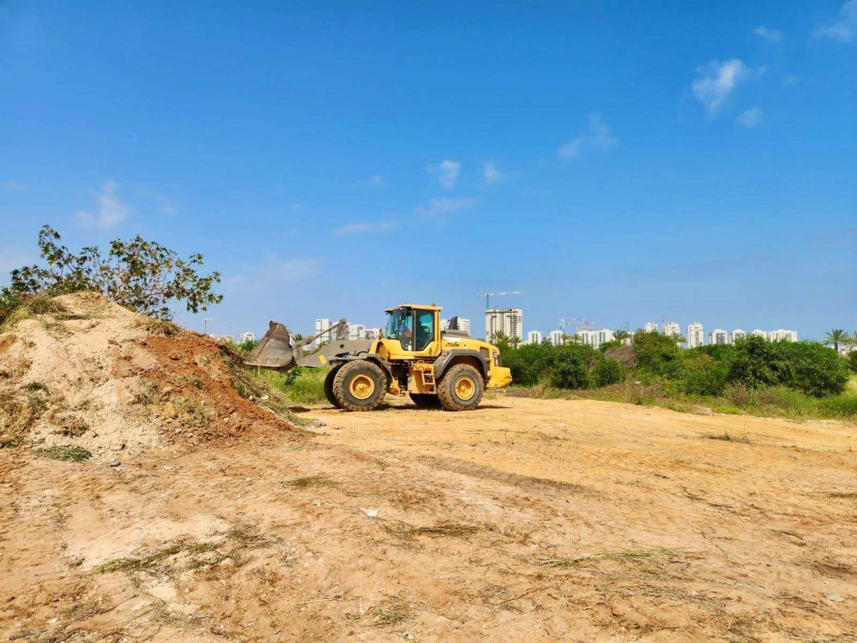 צילום: סיון מטודי