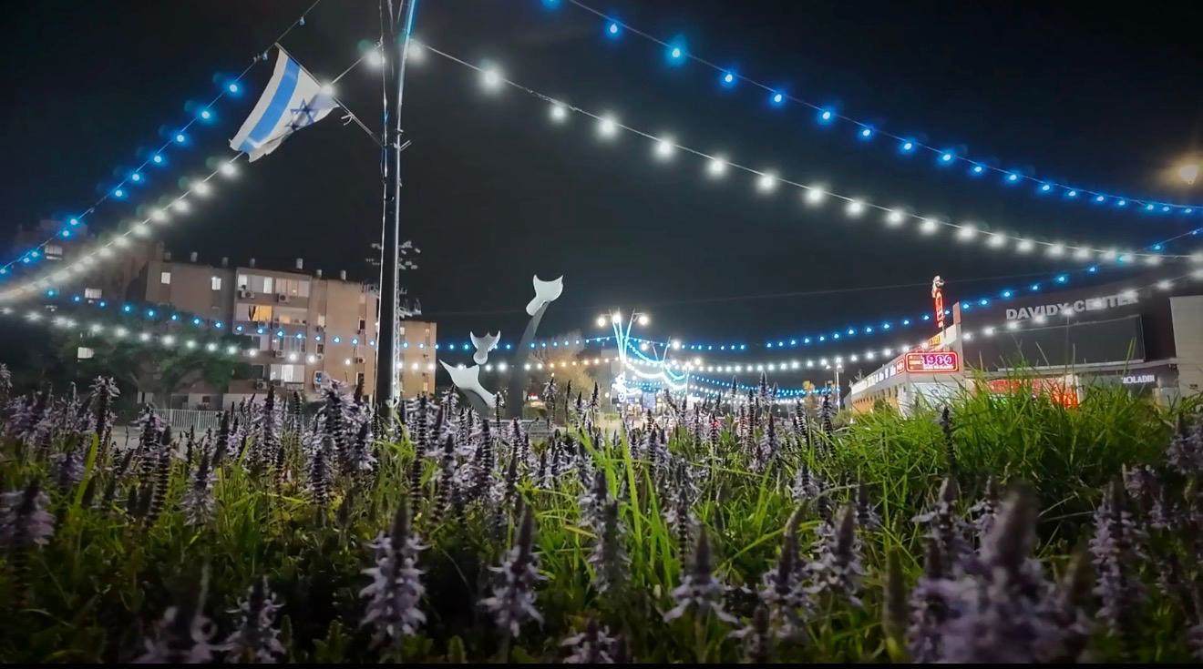 קרדיט: אשר דיין