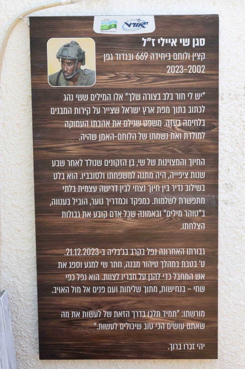 צילום: סיון מטודי