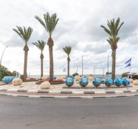 צילום: סיון מטודי
