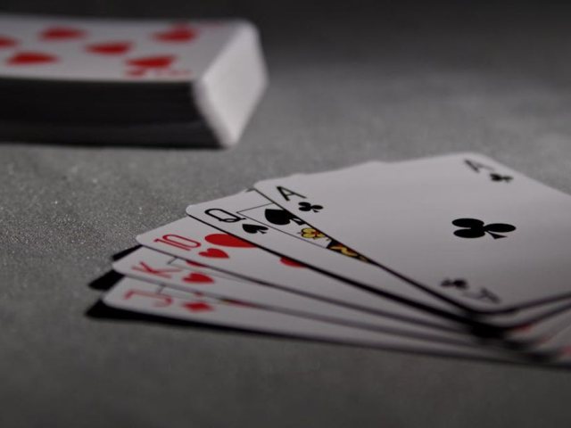 קרדיט התמונה: Pixabay באתר PEXELS