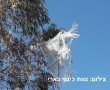 הסכם רגיעה עם החמאס-תודה לקטארים ששומרים עלינו