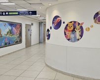 דוברות המרכז הרפואי ברזילי