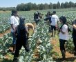 חופש גדול אחר: תלמידי מקיף אמית ב''ש יצאו למחנה קיץ ללא טלפונים סלולריים