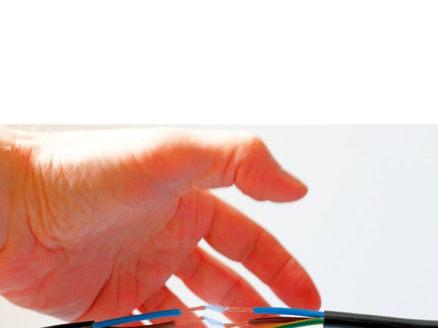 צילום: יח"צ 