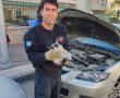 החתול נלכד וחולץ על ידי לוחמי האש:
