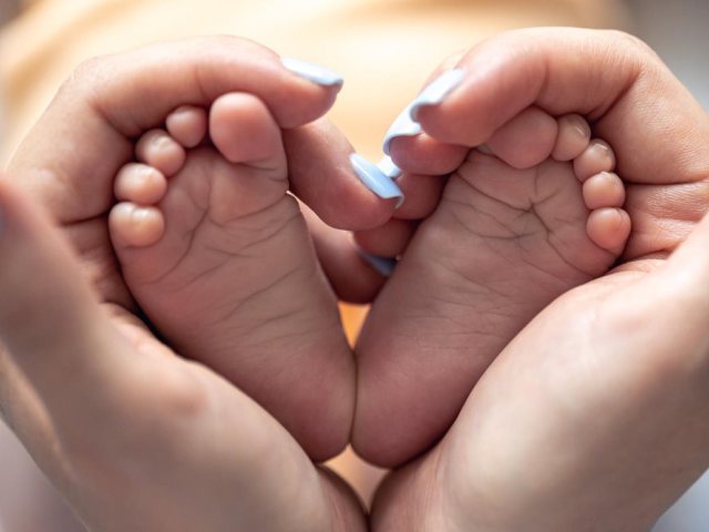 קרדיט לתמונה FREEPIK