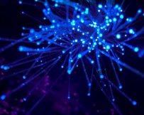 קרדיט-Photo by JJ Ying on Unsplash