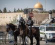 במסגרת פעילות של מג"ב נתפסו 5 תושבי שטחים ששהו שלא כחוק