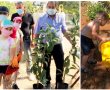 איזה עצים תרם ראש העיר מהמשתלה הפרטית שלו לגינה הקהילתית בשכונת העמק?