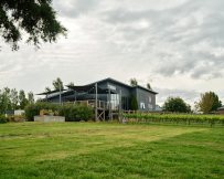 קרדיט-Photo by Neon Wang on Unsplash