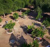 קרדיט צילום: אשר דיין