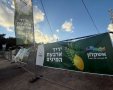 צילום: דוברות עיריית אשקלון