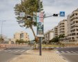 צילום: סיון מטודי