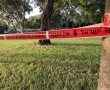 עליה מסוכנת במפלס האלימות באשדוד: בני 19 דקרו בן 18 בפארק; מצבו בינוני