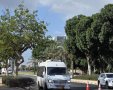 קרדיט: דוברות המשטרה