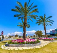 צילום: סיון מטודי